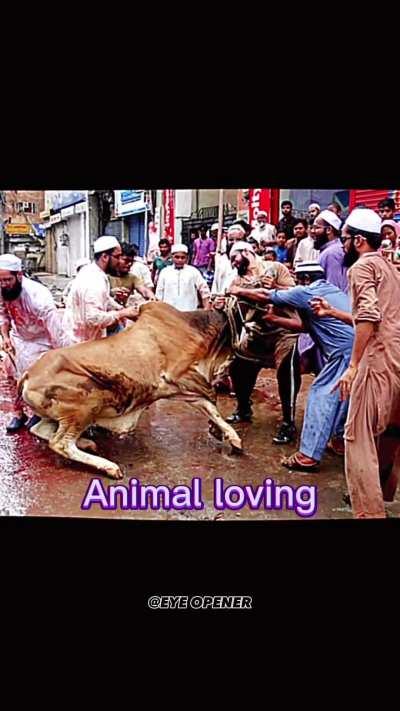 Dark meme , not for light hearted 