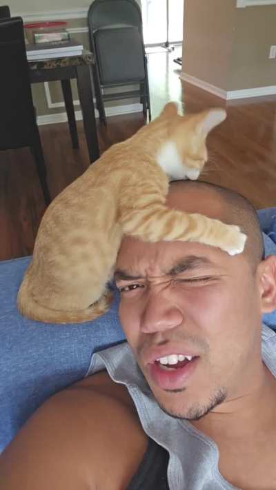 Girly I found outside of a museum in DR and brought back to the US. She's... different than my other 2