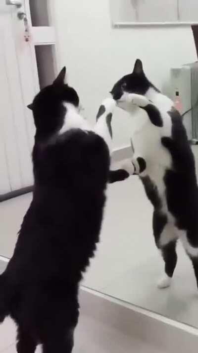 You REALY need to wait for this