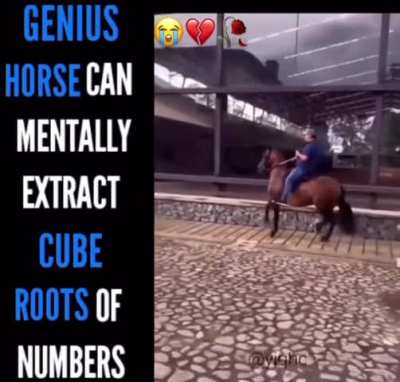 Let’s use him to calculate decimations per horse as a sick joke