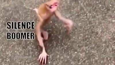 Posting videos I found on Discord to r/NoRules. (#1)