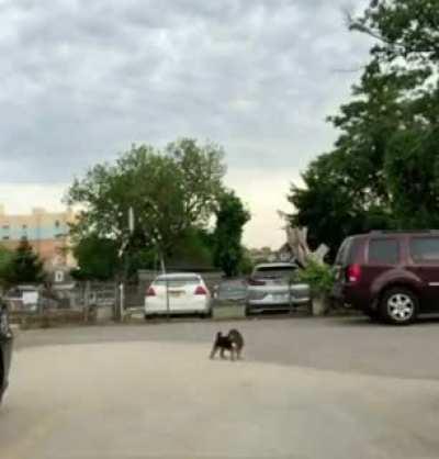 When it is difficult to choose who you love.