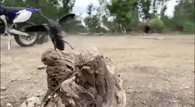 Watchu got there mate