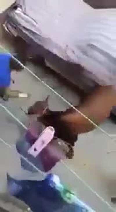 You get what you f****g deserve