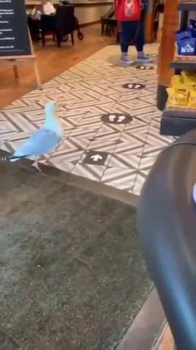 You little thief 😂