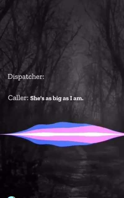 Had to sacrifice his career for that punch line. I know this is old but I love it. Especially because my brother in law is a 911 operator.