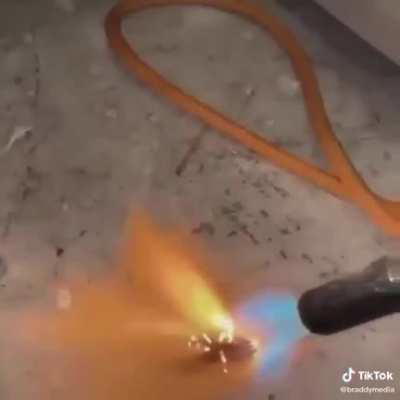 that escalated quickly.