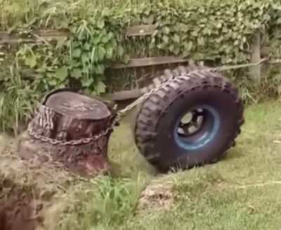 Mechanical Advantage