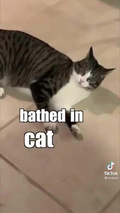 Have you done it, Sharon? (Pls suggest an appropriate sub)