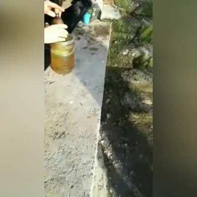 This bird has never been so high