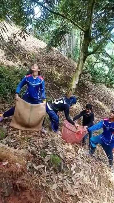 Catching Durian Fruit