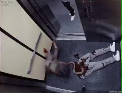 Amputee plays prank by chasing people