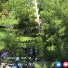 So close to the live wires