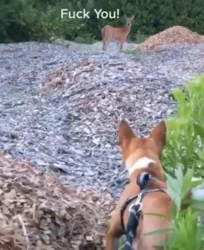 Фак ю Иезикиль!