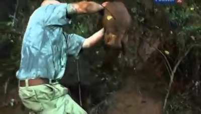 The fox's house is taken away.