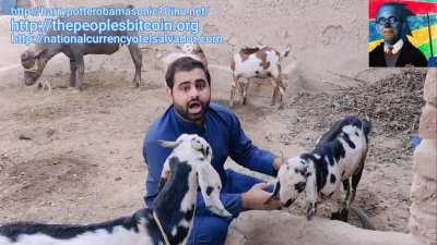 This crypto shit gets weirder by the day