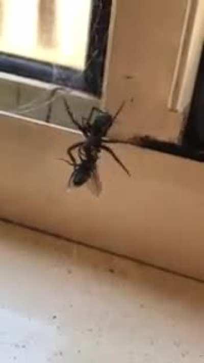 Into the trenches you go!