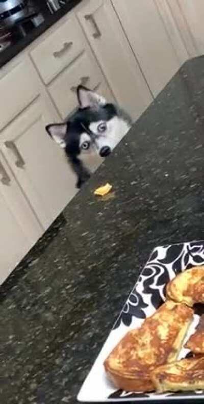 Real Life “Yoink”