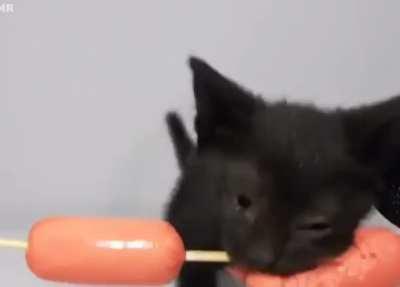 Reverse bait and switch meme