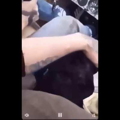 Norwegian criminals steal plane