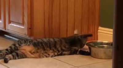 This is a whole new level of laziness!