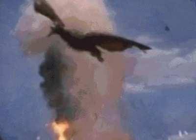 Never Forget the 20th anniversary of when Rodan saved the US