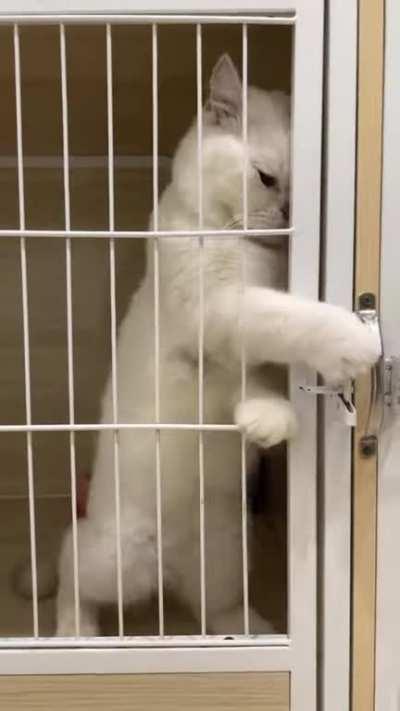 Don't underestimate my intelligence 🤣