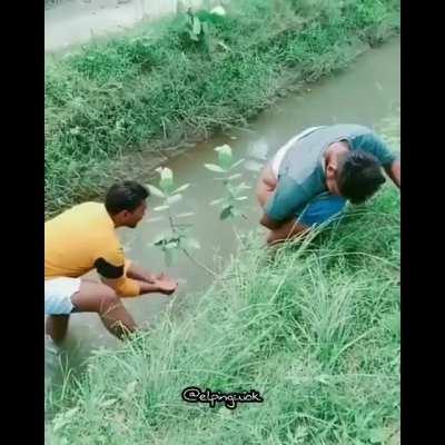 Los amigos se ayudan