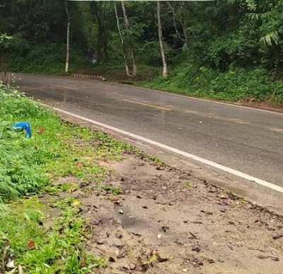 Close encounter with a herd of elephants.