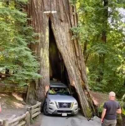 To not scratch the paint 