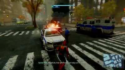 Roast Maggia anyone?