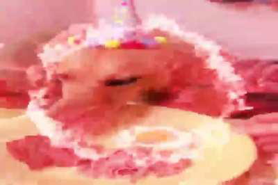 They say money cant by happiness 😂