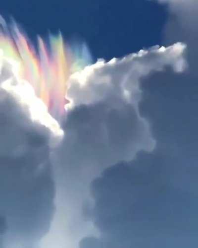 It's magically delicious