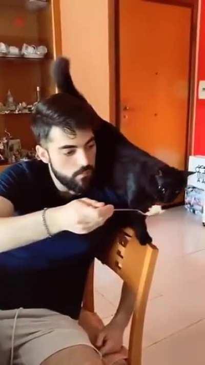 Kitty ain't messing around.