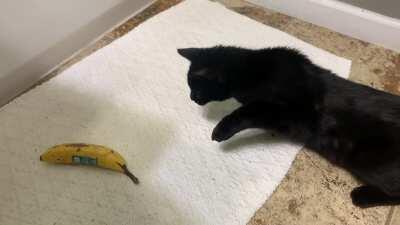 Puck vs my banana