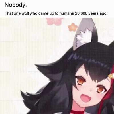 This is how humans acquired their best friends