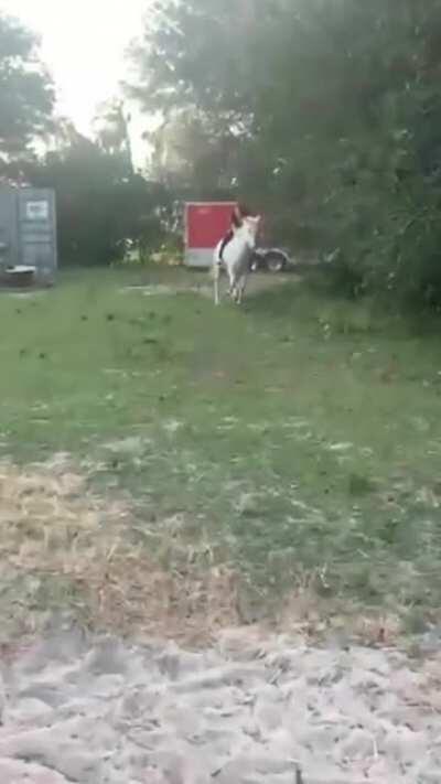 Damn. I just served lunch. I'm not to be blamed for what happened next.