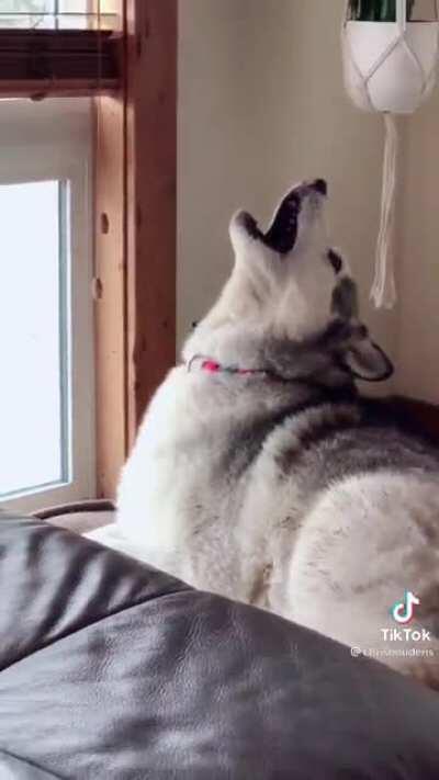 The sequel you've been waiting for