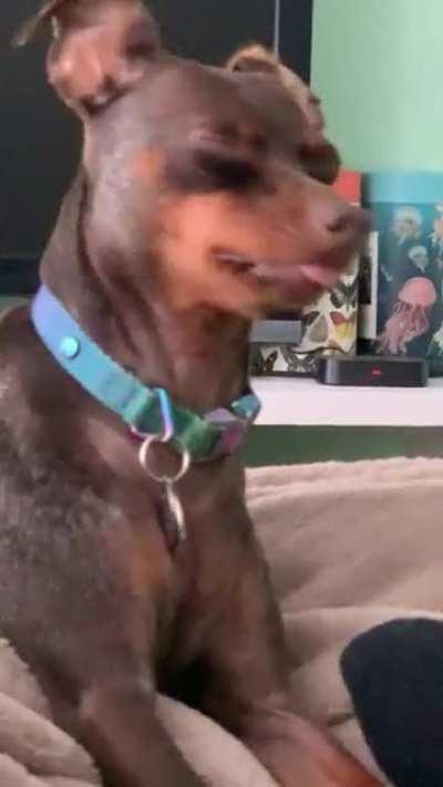 No thoughts head empty