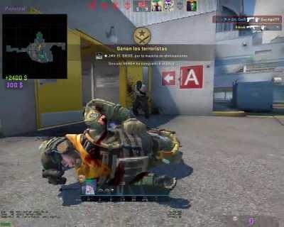 Me asesino un TT enano