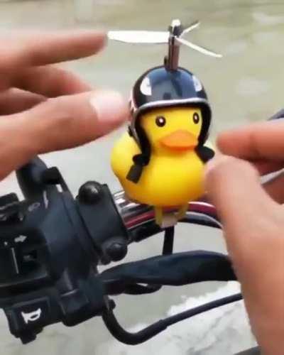 My life just got better for having seen this