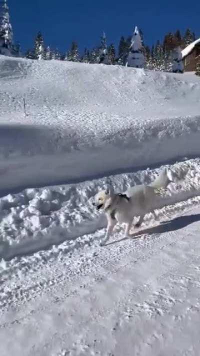 Walking during winter
