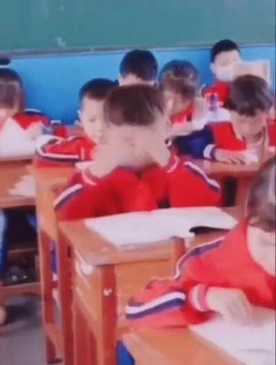 [Meme] First and second year in a nutshell