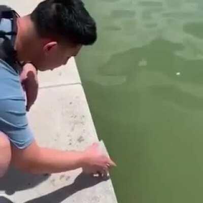 Here you go little fellow 2.0