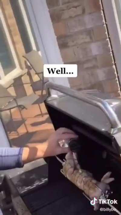 Pos dad and son cook sisters rabbit