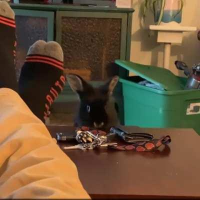 I learned yesterday I live with a thief