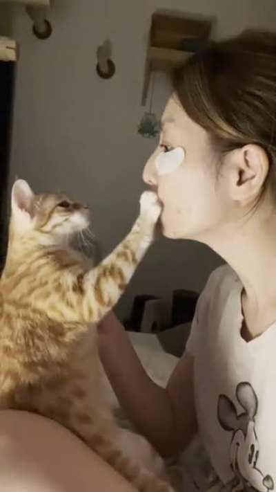 No? How about now? Still no?