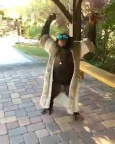 mamacouai@hotmail.com