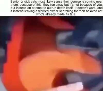 This one is more sad than the usual memes you get here