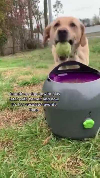 Those little jumps of excitement🥺